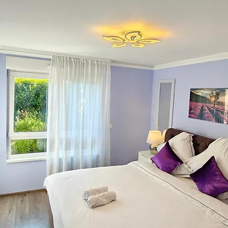 Charming Apartment With Garden, Free Parking Near Basel, Airport, Ger'Many, France, Saint-Louis  Esterno foto