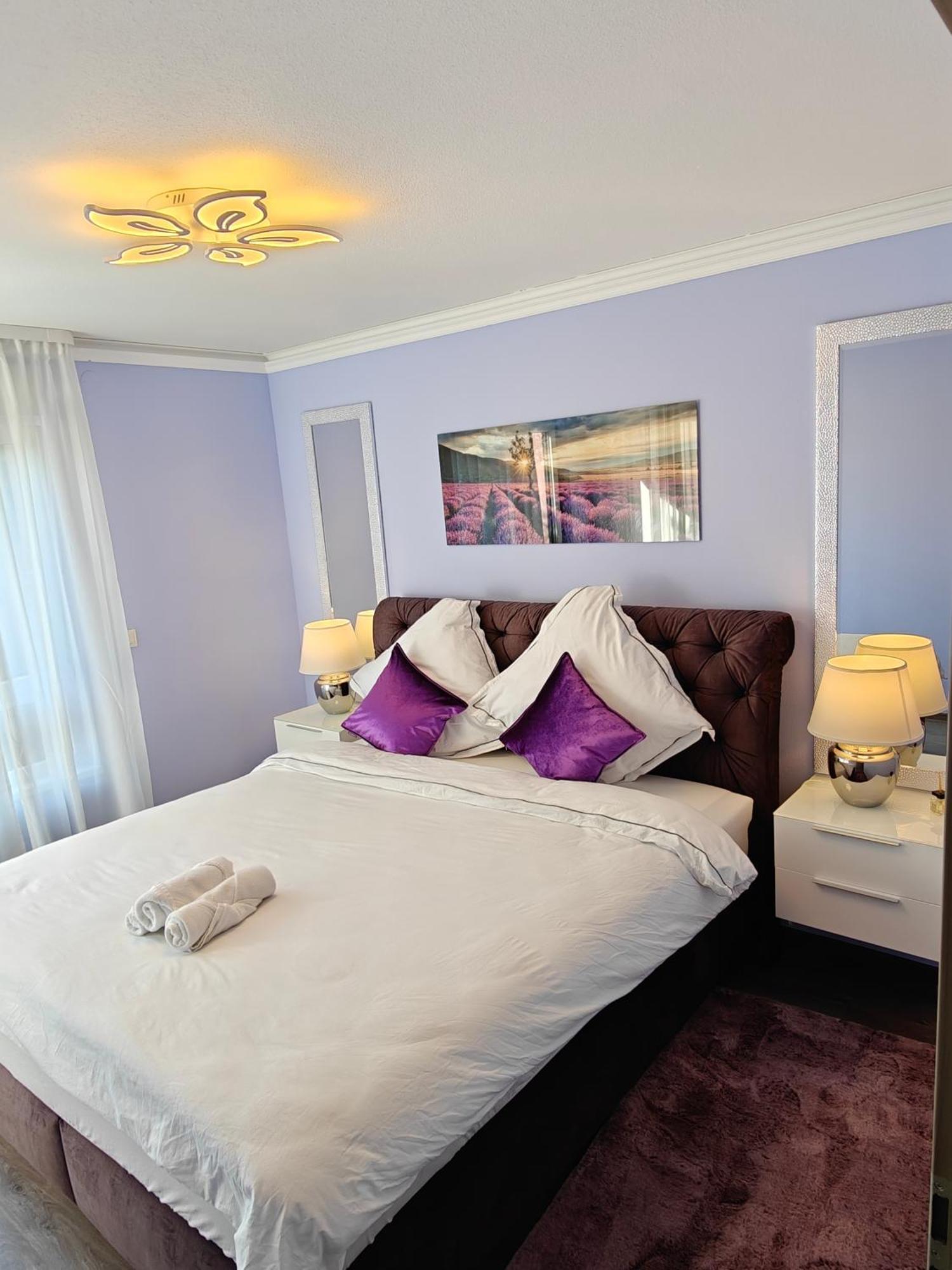Charming With Garden, Free Parking Near Basel, Airport, Ger'many, France,
